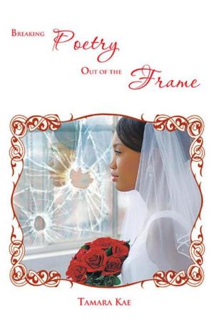 Cover of the book Breaking Poetry out of the Frame by Alari Alare Celine