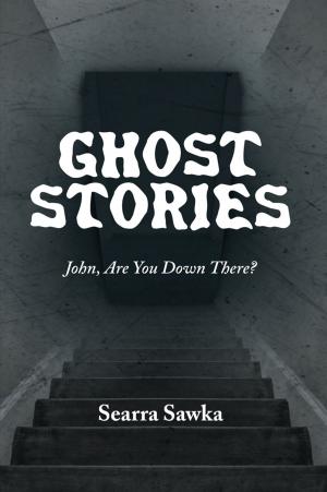Cover of the book Ghost Stories by COL Billy R. Wood