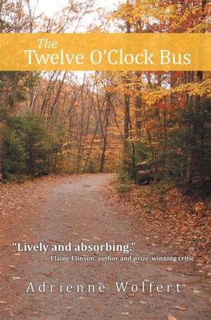 Cover of the book The Twelve O’Clock Bus by TW Sander