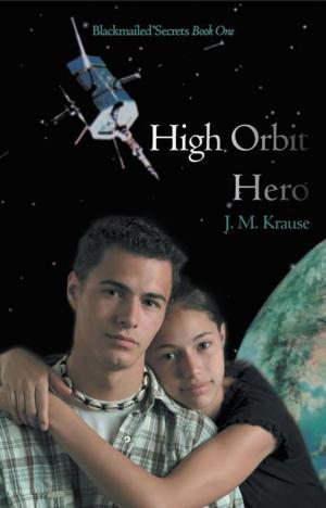 Cover of the book High Orbit Hero by RJ Woodward