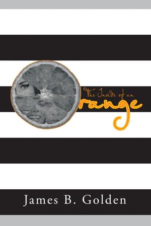 Cover of the book The Inside of an Orange by Sioux Rose