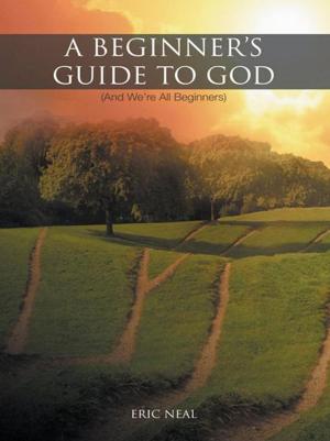 Cover of the book A Beginner's Guide to God by Kay Rose