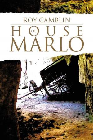 Cover of the book House of Marlo by Gabrielle Mallarme