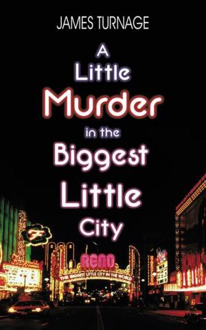 Cover of the book A Little Murder in the Biggest Little City by Russell Lunsford