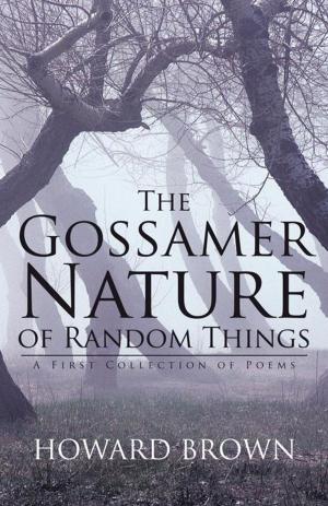 Cover of the book The Gossamer Nature of Random Things by Felicitatus Miserius, Jennifer Quaggin