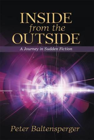 Book cover of Inside from the Outside
