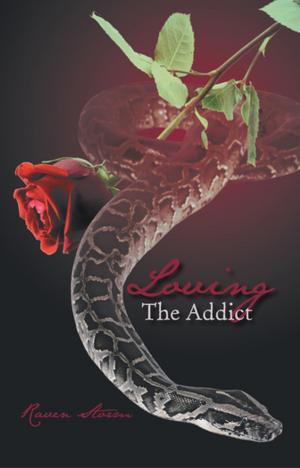 Cover of the book Loving the Addict by Verna van Schaik
