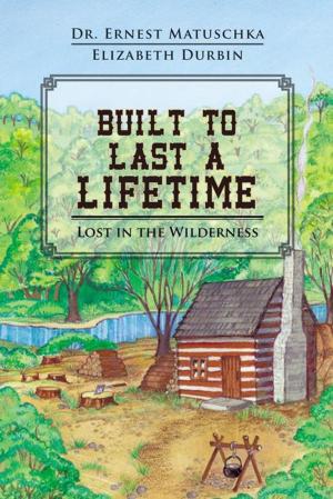 bigCover of the book Built to Last a Lifetime by 