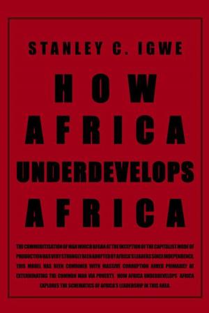 Cover of the book How Africa Underdevelops Africa by Geraldine Markel