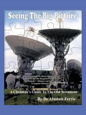 Cover of the book Seeing the Big Picture by Kris Jones