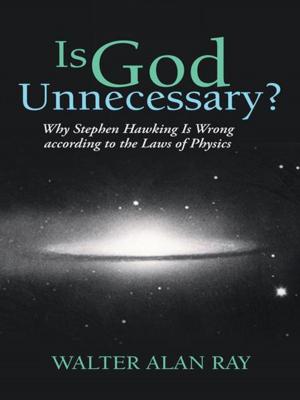 Cover of the book Is God Unnecessary? by Kalix Alien