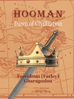 Cover of the book Hooman by Dennis J. Barton