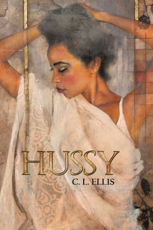 Cover of the book Hussy by Nicholas Joseph Santoro