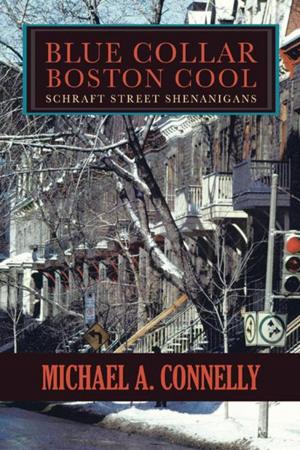 Cover of the book Blue Collar Boston Cool by Manuel Robbins