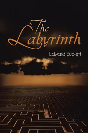 Cover of the book The Labyrinth by Edward A. Marrero Laureano