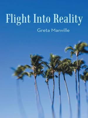 Cover of the book Flight into Reality by Robin Patchen