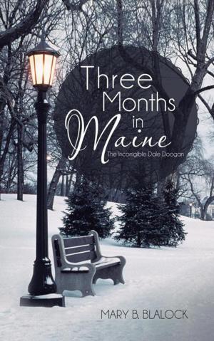 Cover of the book Three Months in Maine by Mary Elizabeth Braddon