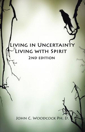 Cover of the book Living in Uncertainty, Living with Spirit by Peter Hargitai