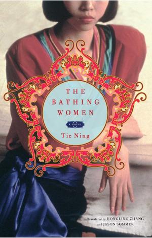 Cover of The Bathing Women