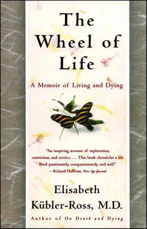 Cover of the book The Wheel of Life by Robert Barnard