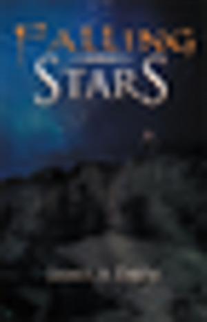Cover of the book Falling Stars by Bernard Thorogood
