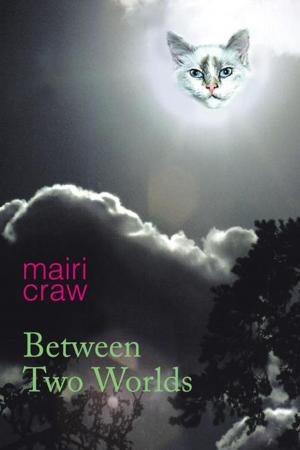 Cover of the book Between Two Worlds by L. Bakhai