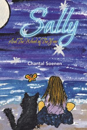 Cover of the book Sally by Christopher Rory Page