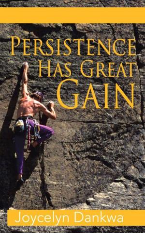 Cover of the book Persistence Has Great Gain by Archbishop Wynn Wagner