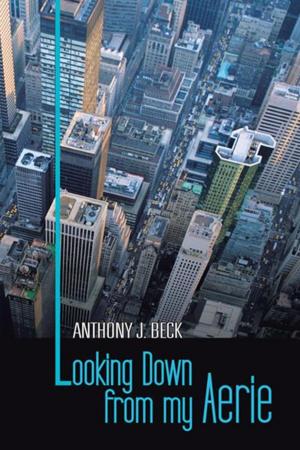 Cover of the book Looking Down from My Aerie by J.D. Frodsham.