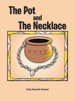 Cover of the book The Pot and the Necklace by Daniel Aamir