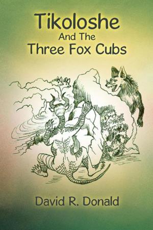 Cover of the book Tikoloshe and the Three Fox Cubs by Denis O'Rourke