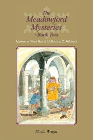 Cover of the book The Meadowford Mysteries - Book Two by Helen Rylance
