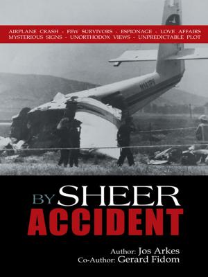 Cover of the book By Sheer Accident by ROBERT J. GOSSETT
