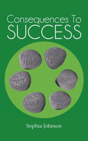 Cover of the book Consequences to Success by Clarence M. Agress