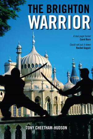 Cover of the book The Brighton Warrior by Davison Kanokanga