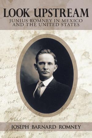 Cover of the book Look Upstream by Thomas A. Phelan