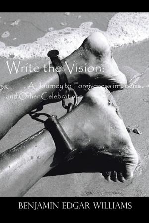 Book cover of Write the Vision: a Journey to Forgiveness in Poems and Other Celebrations