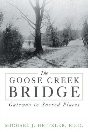 Book cover of The Goose Creek Bridge