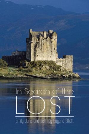 Cover of the book In Search of the Lost by E R Zhang