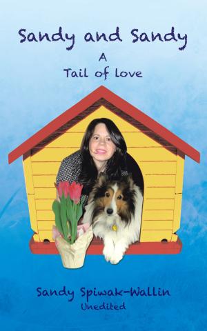 Cover of the book Sandy and Sandy a Tail of Love by Chad Elness