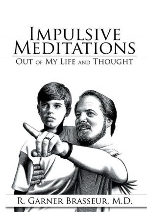 Cover of the book Impulsive Meditations by Lori Godsey Anzini