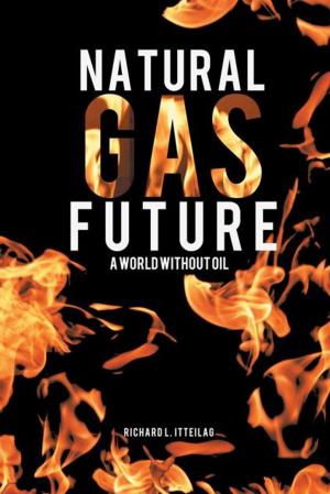 bigCover of the book Natural Gas Future by 