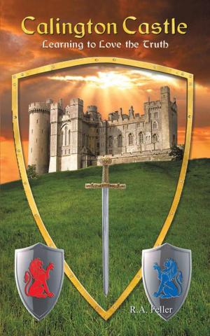 Cover of the book Calington Castle by Andy Teach