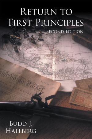 Cover of the book Return to First Principles by George D. King