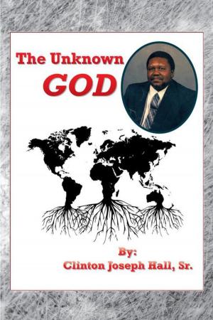 Cover of the book The Unknown God by Hayes L. Whiddon Jr.