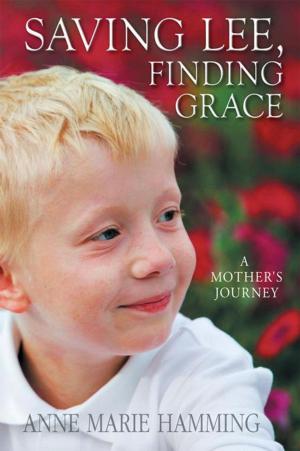 Cover of the book Saving Lee, Finding Grace by Dave Wright