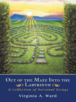 Cover of the book Out of the Maze into the Labyrinth by Betty Jo Russell