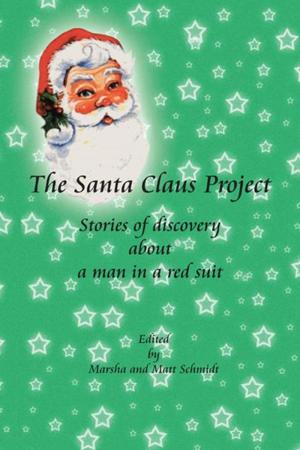 bigCover of the book The Santa Claus Project by 