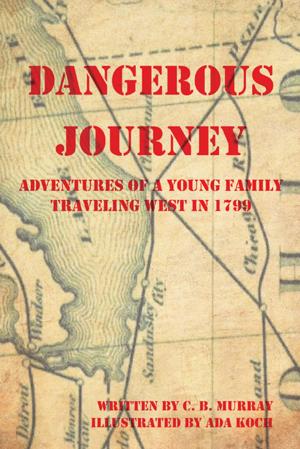 Cover of the book Dangerous Journey by Deborah Kemp