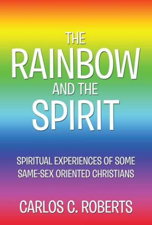 Cover of the book The Rainbow and the Spirit by R.A. Feller